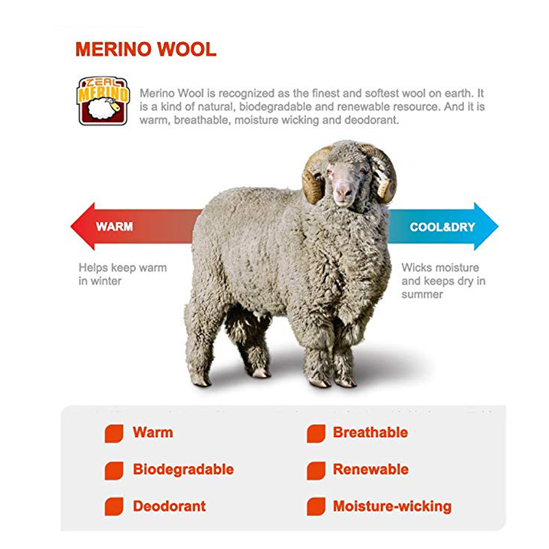 ZEALWOOD Hiking Trekking Men's - Wool Hiking Sock ulasan dan harga