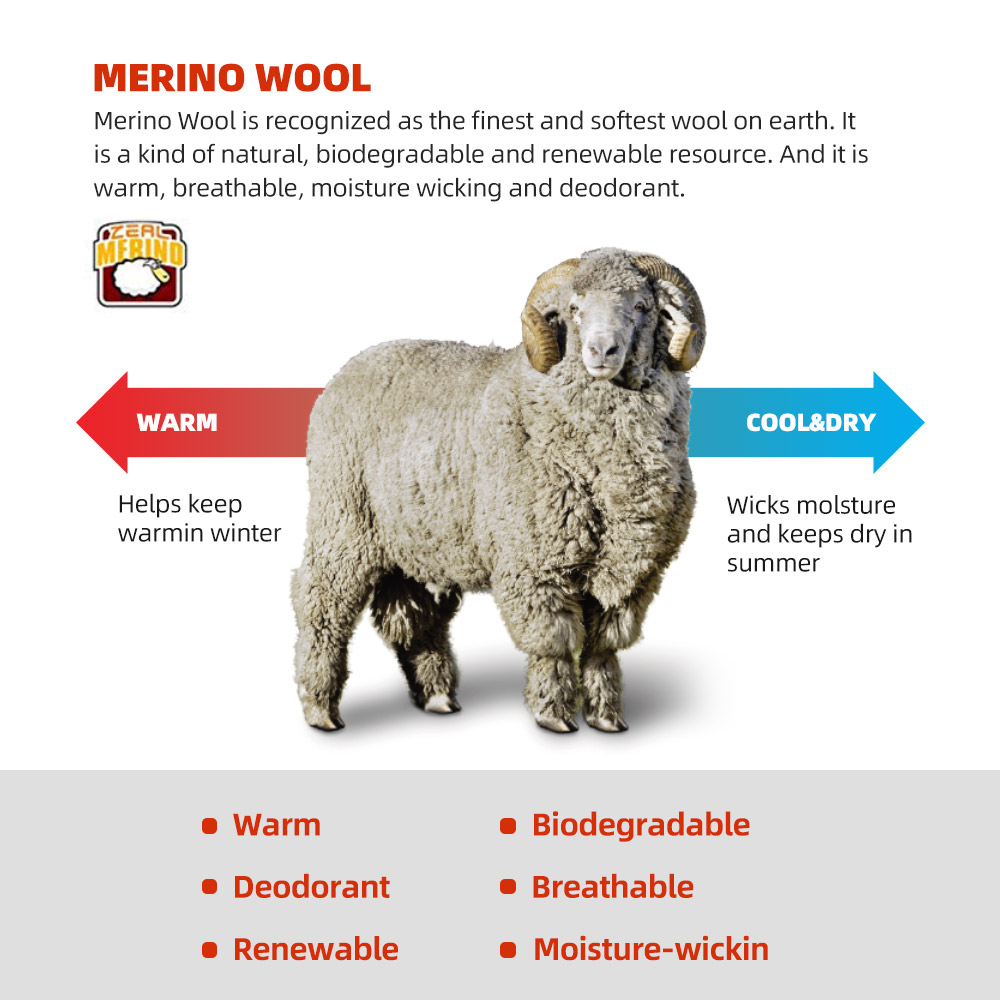 ZEALWOOD Merino Wool Running S - Wool Hiking Sock ulasan dan harga